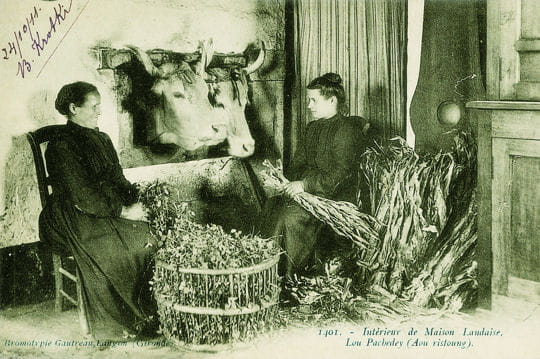 france rurale 1900