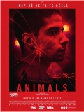 Animals // VF 