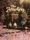 Rétrospective Mai Zetterling // VOST 