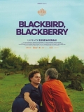 Blackbird, Blackberry // VOST 