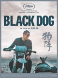Black Dog