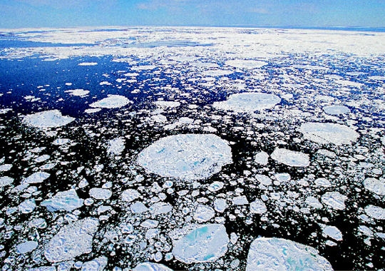 La fonte des glaces de l'Arctique