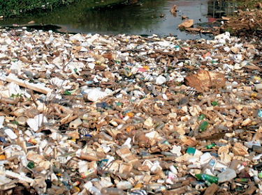 160 kg de déchets produits par personne par an