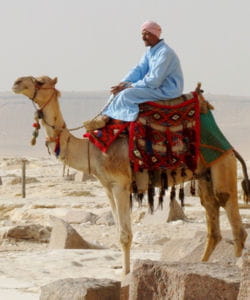 mode d'emploi du chameau... 