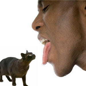 jeter sa langue au chien ou donner sa langue au chat : c'est du pareil au même. 