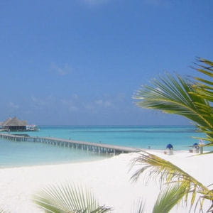 les plages de sable blanc des maldives pourraient rapidement disparatre sous