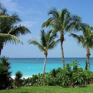 les îles des bahamas sont situées au nord de cuba et à l'est de la floride. 