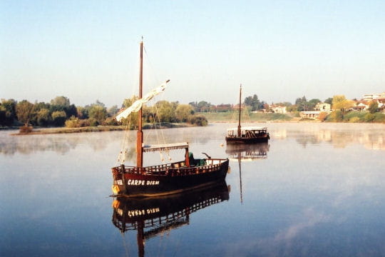 les gabarres, bateaux-fleuves du 19e siècle