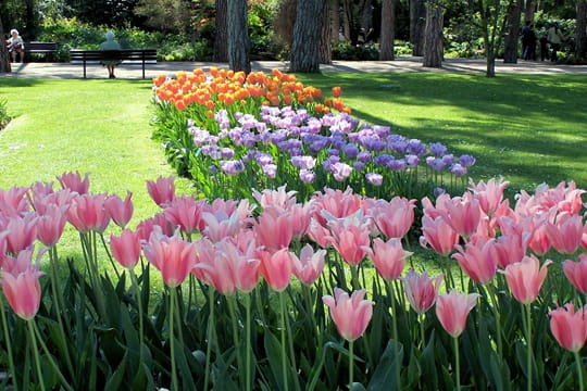 parc floral de vincennes
