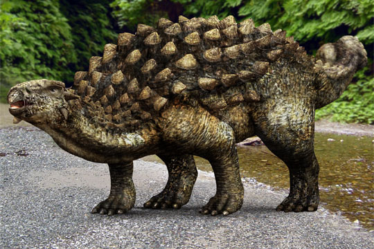 http://www.linternaute.com/science/biologie/diaporamas/05/dinosaures/images/ankylosaurus.jpg