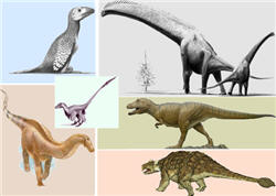 diversité des dinosaures