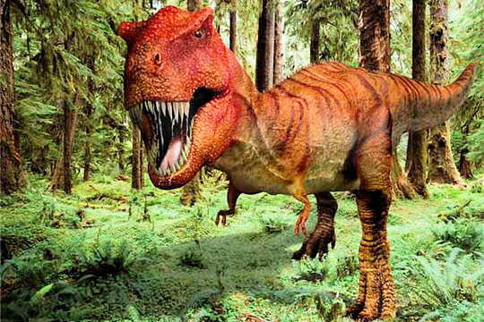 http://www.linternaute.com/science/magazine/images-de-dinosaures/image/images-dinosaures-563357.jpg