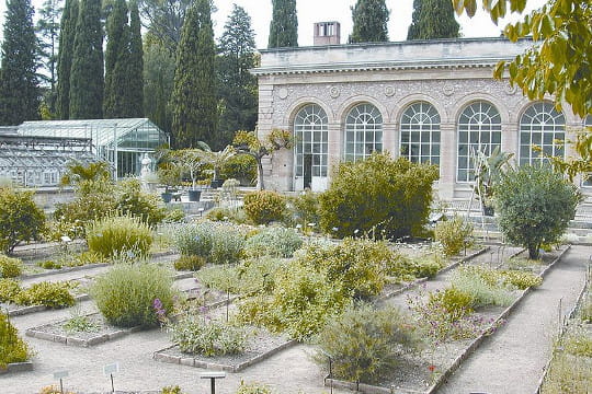 plus ancien jardin botanique