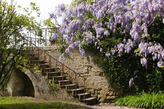 le parc du château offre une promenade agréable entre fleurs et pierres