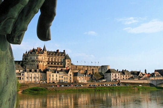 http://www.linternaute.com/sortir/monument/photo/les-chateaux-de-la-loire-les-plus-remarquables/image/chateau-d-amboise-504355.jpg