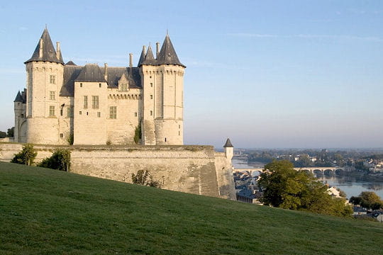 http://www.linternaute.com/sortir/monument/photo/les-chateaux-de-la-loire-les-plus-remarquables/image/chateau-saumur-504517.jpg