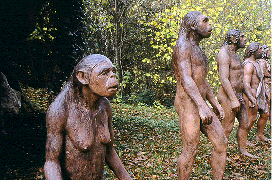 http://www.linternaute.com/sortir/sorties/enfant/sorties-enfants/parcs-decouvertes/dinozoo/diaporama/images/2.gif