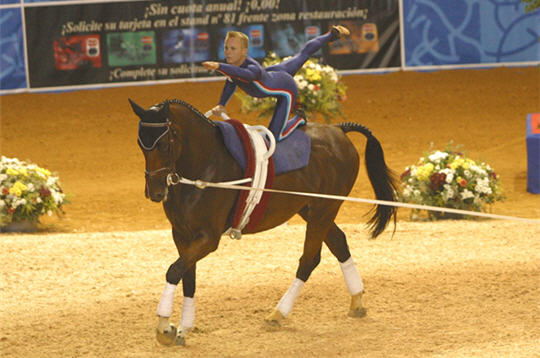http://www.linternaute.com/sport/diaporamas/equitation/jeux-equestres-mondiaux/images/voltige.jpg