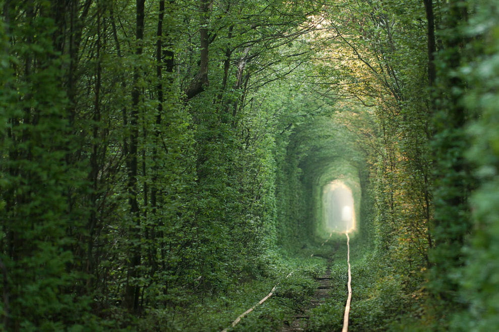 le 'tunnel of love' en ukraine