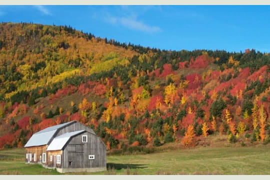 au canada, l'automne est synonyme de nature sublimée par des