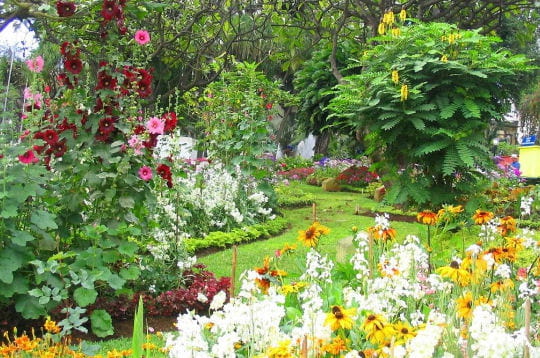 le grand jardin botanique de monte, au nord de funchal, peut être atteint grâce