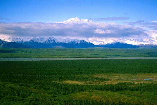 tout au nord de l'alaska,  prudhoe bay, une poigne de courageux vivent depuis