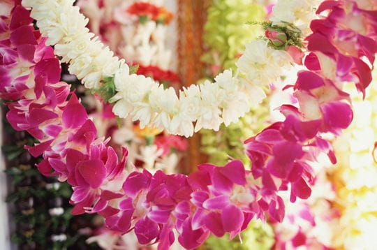 les fameux colliers de fleurs parfumes offerts aux voyageurs pour leur