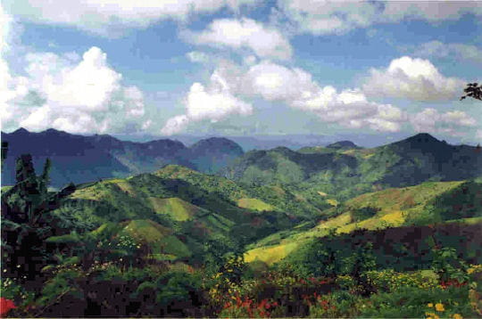 ces montagnes à la végétation luxuriante se situent près de la ville de kalo, en