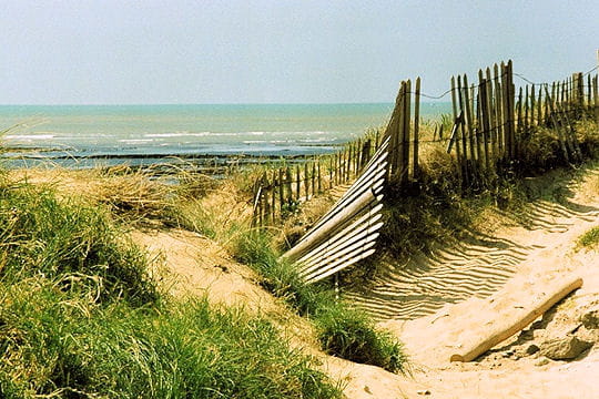 barrière sur la dune
