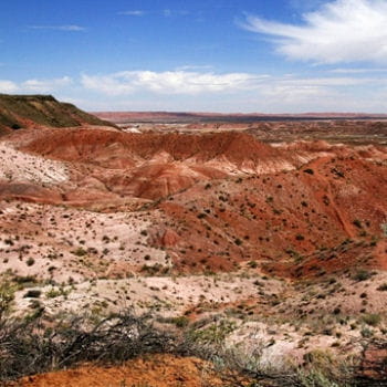 des rochers pétrifiés en arizona 